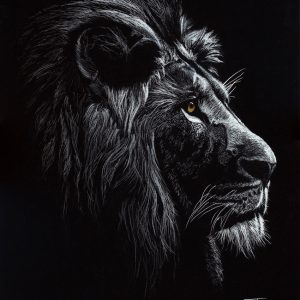 Photo-realistic lion portrait in white coal on black paper by artist Dewald Basson, featuring detailed mane and amber eye highlights.