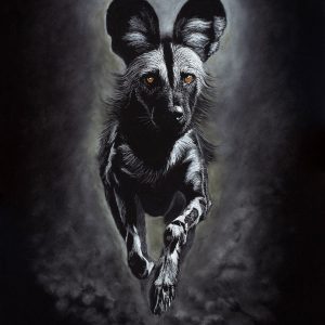 Monochrome photo-realistic wild dog by Deewald Basson