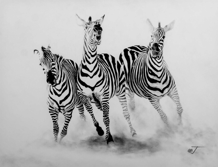 Monochrome Art Miscellaneous Dewald Basson