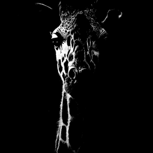 High-Contrast Grace