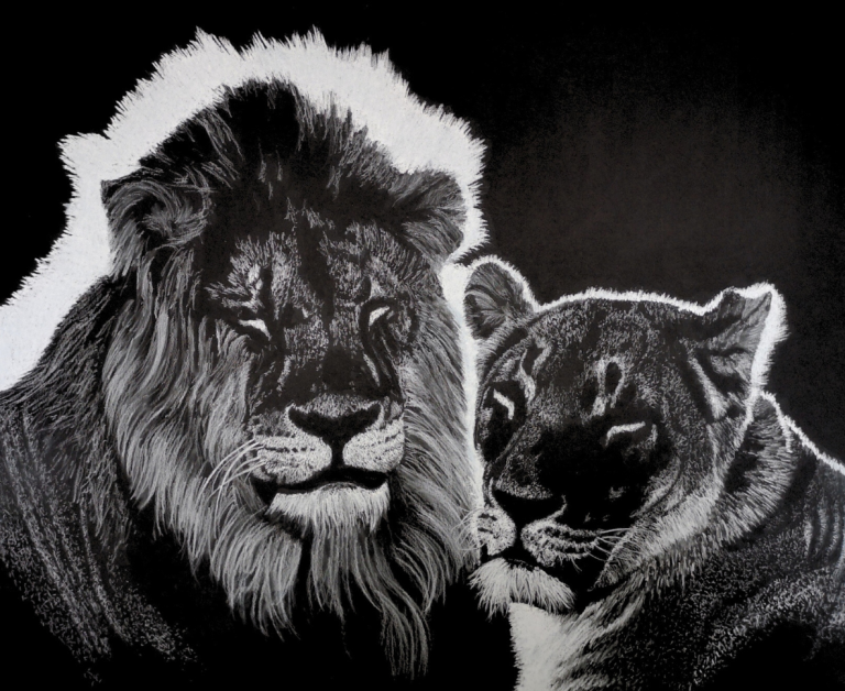 Monochrome Art Miscellaneous Dewald Basson